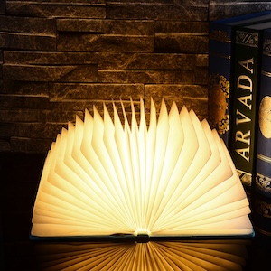 LED BOOK ランプ