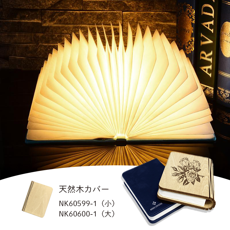 【 天然木 】　LEDBOOKライト