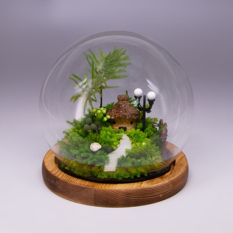 苔ドーム